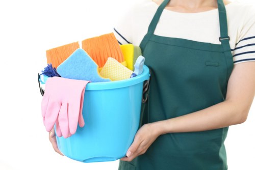 Upholstery cleaning service for a sofa in an N2 home
