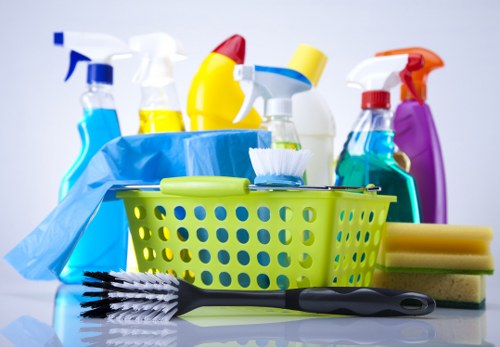 Professional carpet cleaning for a home in N2