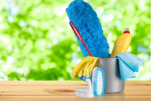 Professional cleaners working in a residential N2 home