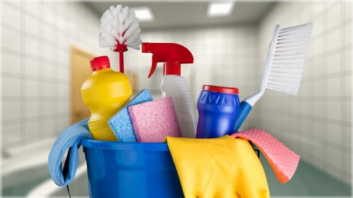 Local cleaner working in a residential property in N2