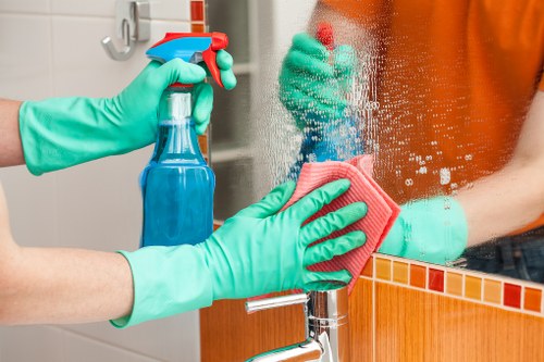 Cleaner providing domestic cleaning service in an N2 home