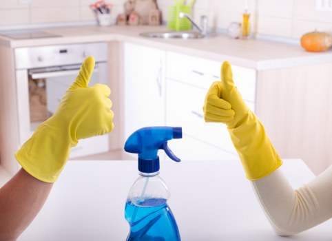 Professional carpet cleaner servicing a home in the N2 area