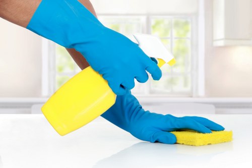 One-off domestic cleaning and home refresh service in N2