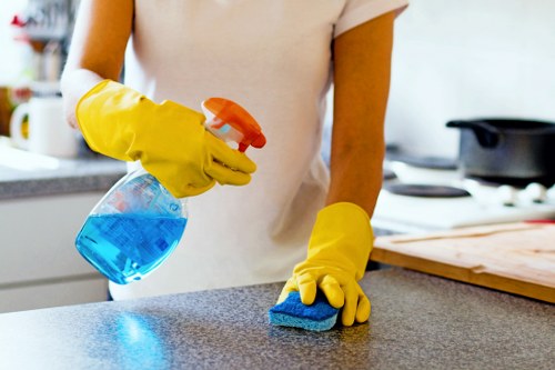 Oven cleaner servicing a domestic kitchen in N2