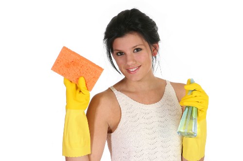 Regular house cleaning support for N2 households