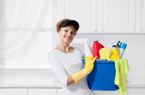 Domestic cleaning service for flats and houses in N2