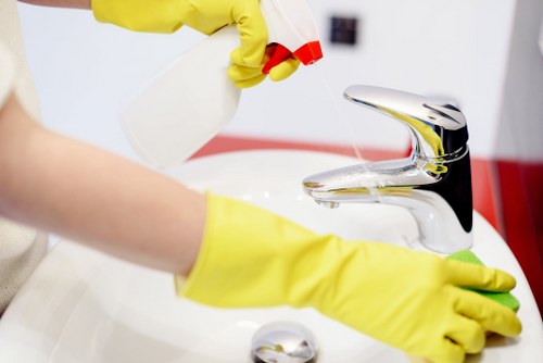 Cleaner treating a carpet stain in an N2 flat