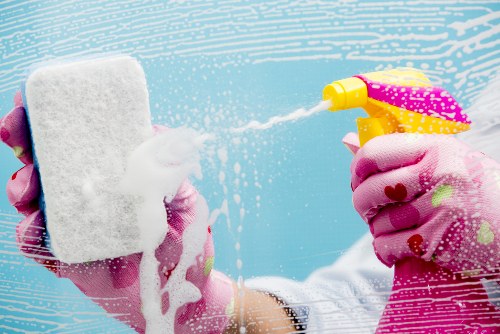 Detailed carpet inspection and stain treatment for N2 property