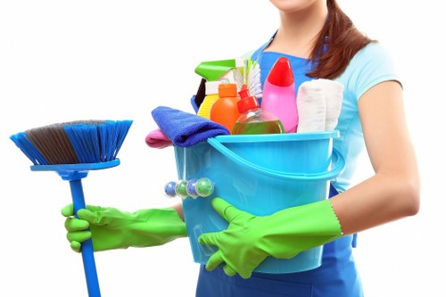 Professional sofa cleaning service for N2 homes and apartments