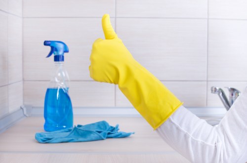 Service record and complaint details being reviewed for a carpet cleaning issue