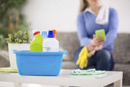 House cleaning support for flats and family homes in N2