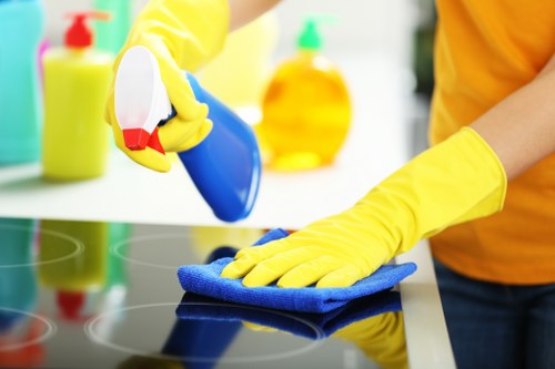 Local cleaners servicing homes and small businesses around N2