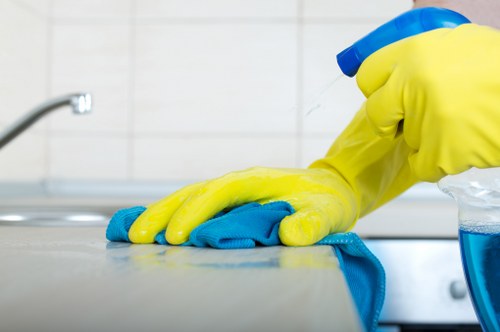 Risk assessment and protective measures before carpet cleaning begins