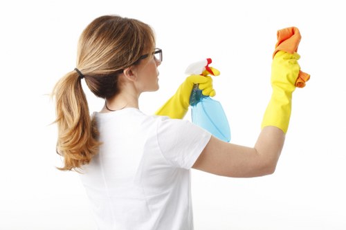 Related interior cleaning services for carpets