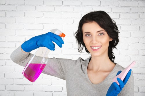 Investigation of a carpet cleaning complaint with notes and assessment