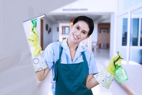 Deep carpet cleaning service for flats in N2