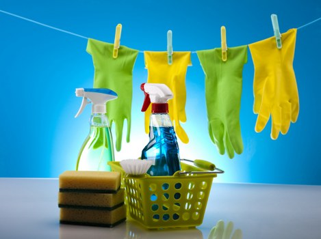 Upholstery cleaning equipment used on a fabric sofa in N2