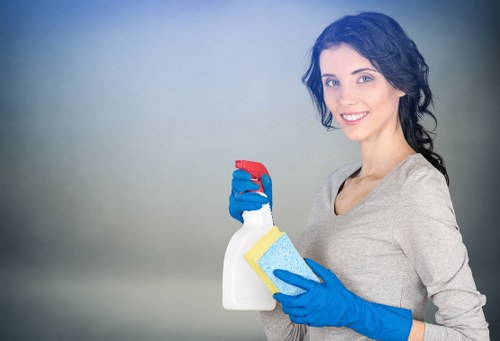 Professional domestic cleaners working in a kitchen and living space in N2
